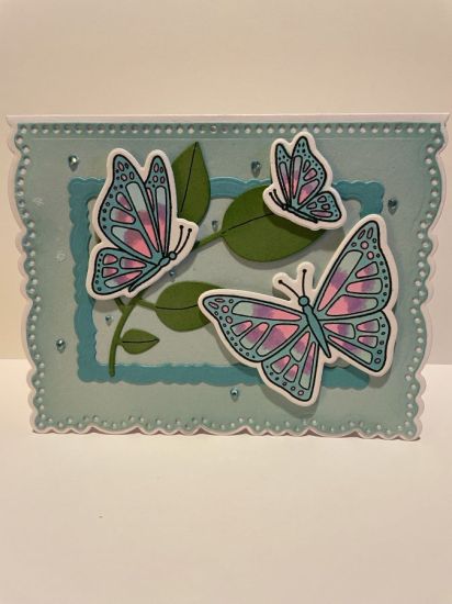 A2 Deckle Edge with Beautiful Butterflies stamp and die set
Keywords: BeautifulButterflies
