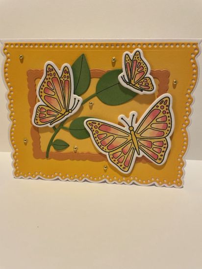 A2 Deckle Edge with Beautiful Butterflies stamp and die set
Keywords: BeautifulButterflies