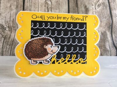 Hello Hedgehog
