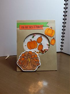 IMG_20170926_203840.jpg