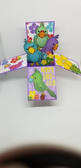 Box of birds
