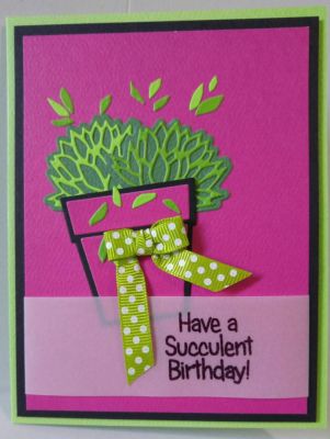 Succulent B´day!

