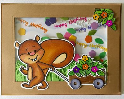 Birthday shaker card 
