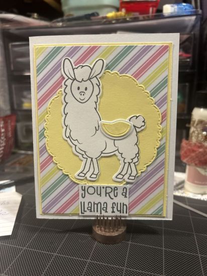 Llama
