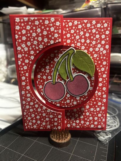 Cherries 
I used the large circle flip it and the old cherry stamp set 
