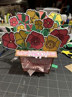 IMG_6207.jpeg