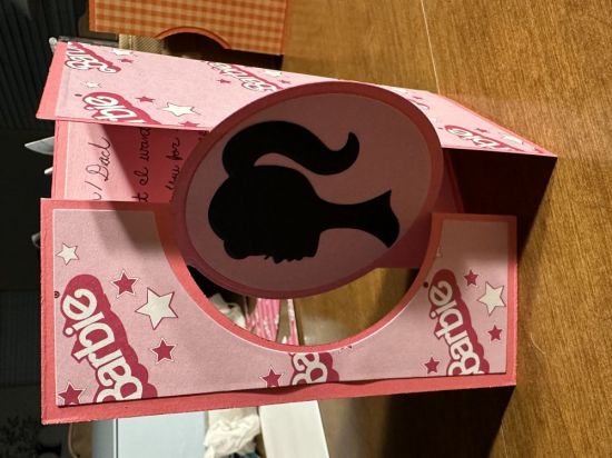 Keywords: Flip it hidden panel pink Barbie