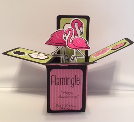 Flamingos in a box
Keywords: boxcarddies