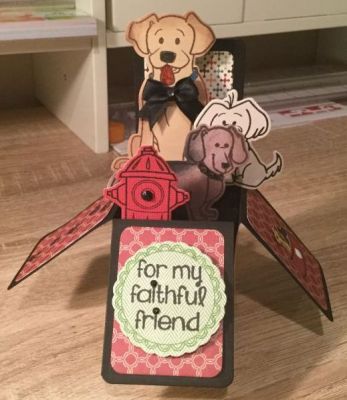 Doggie love box card
Keywords: boxcarddies