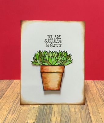 Sweet Succulent Watercolor Card
