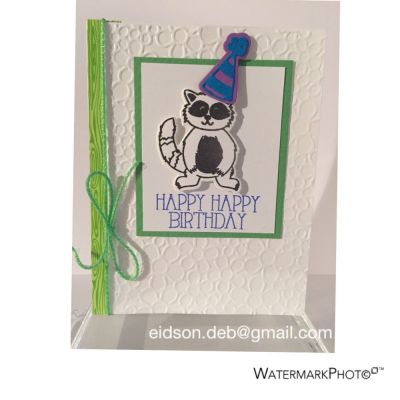 HB Racoon in party hat
Racoon from Hats4critters stamp & dies
Flower power embossing folder

Love the party hat, photo doesn't show how cute it is!
Keywords: Hats4critters