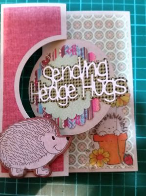 flip it
Keywords: hedgehogs circle flipits