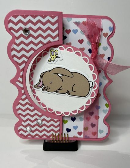 Sleeping Bunny 
Keywords: Baby Bunny