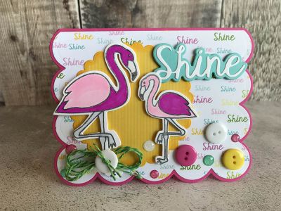 IMG_2890.jpg