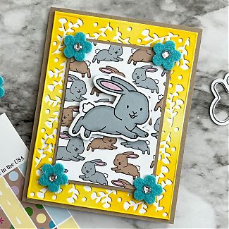 card_kit5~4.jpg