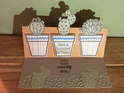 Succulent Birthday
Personalised Birthday card for a friend with awesome succulents2stamp stamps and dies. I made the stand up card base myself, although it would be so much easier with Stephanie's dies.
Keywords: Succulents2stamp, cactus, birthday