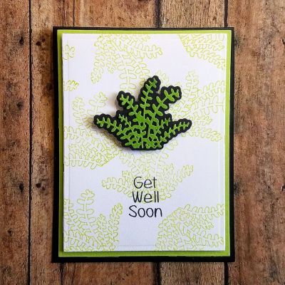Keywords: moresucculents2stamp, Large Rectangle Dies -2 pack