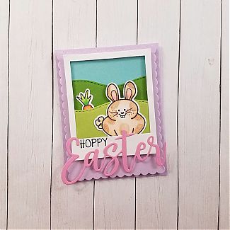 IMG_20180207_101336_209.jpg