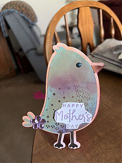 IMG_0633.jpeg