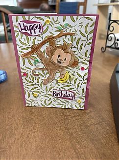 IMG_2238.jpeg