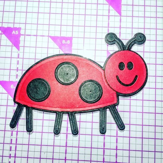 Keywords: Ladybug Fold-It