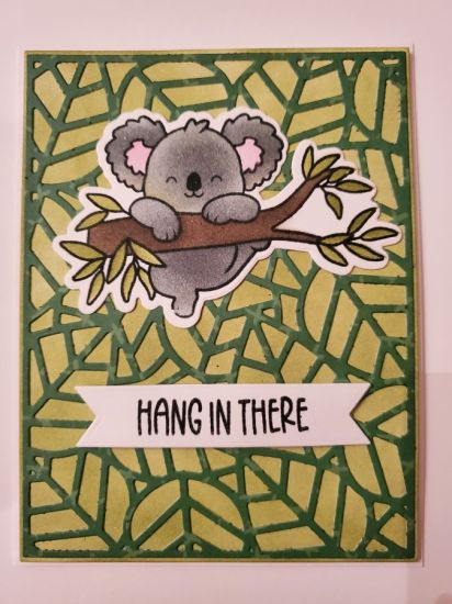 Hang in There Koala
Keywords: Koala Kuties