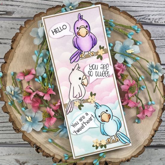 Bird Friends
Keywords: talk bubble dies