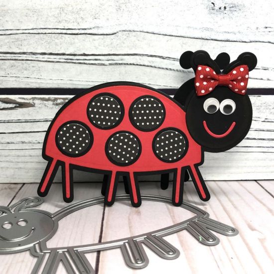Ladybug
