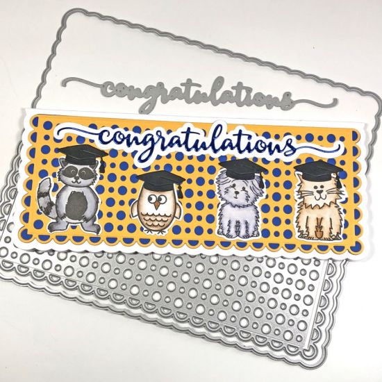 Congratulations
Keywords: Hats4Critters