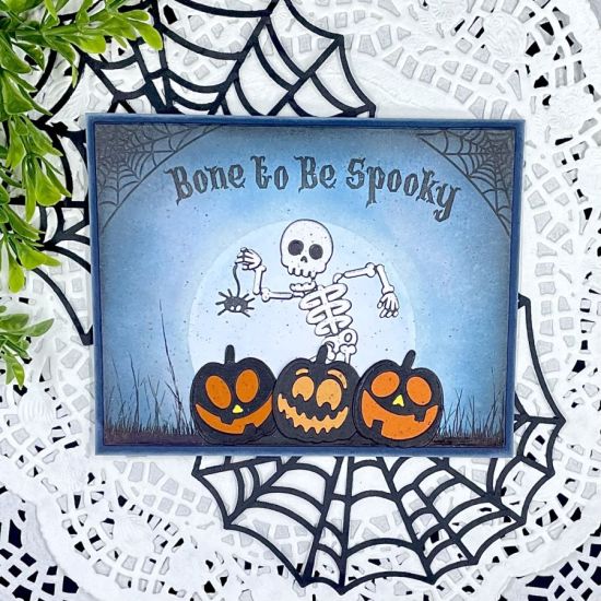IMG_8537
