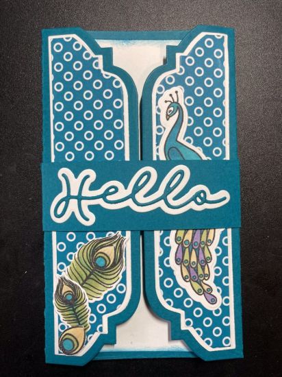 Peacock card
Mini slimline gatefold card using a belly band to keep the card closed
