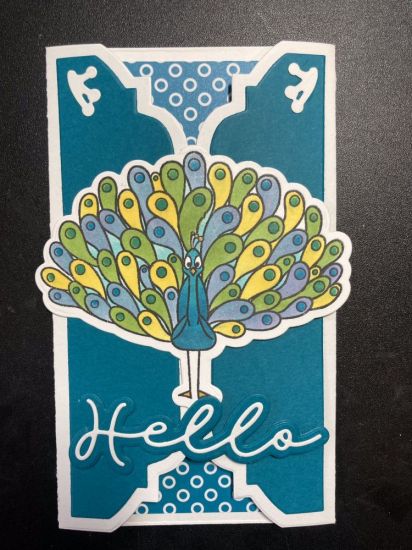 Peacock Hello
Mini slimline gatefold card using products from the Beautiful Friend class.  I used two small magnet sets to keep the card closed  
