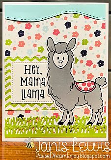 llama_smsller_for_tsof_gallery.jpg