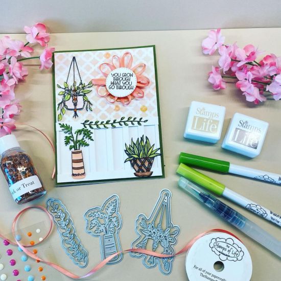 Plants are Friends online class
