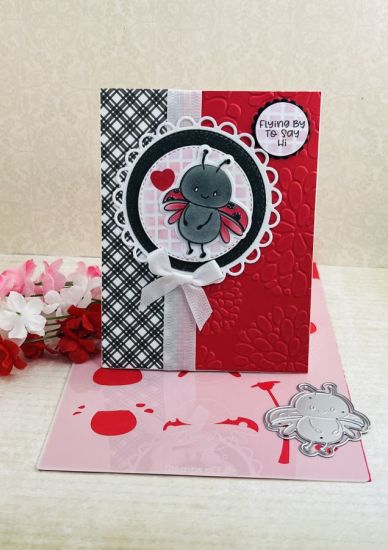 Loveable Ladybugs
