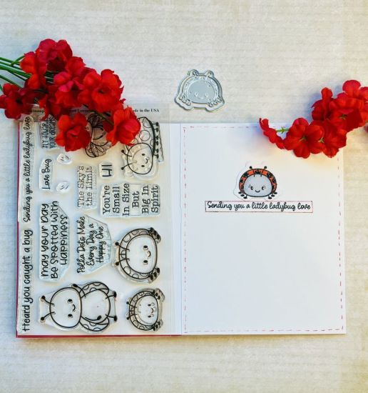 Loveable Ladybugs 
