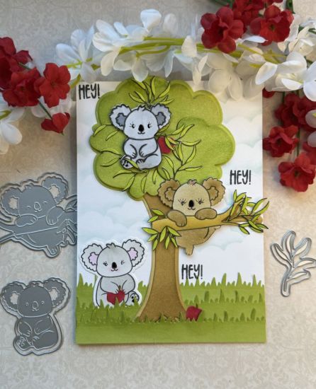 Koala Kuties
