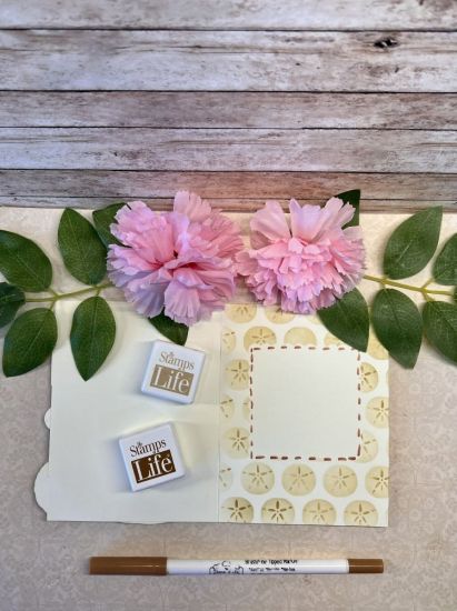Sand dollar Fold-it Club June 2023
