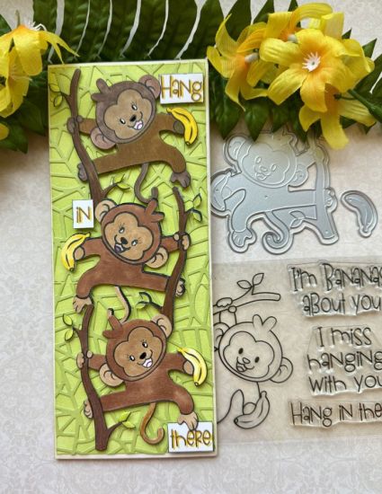 Hang in there Monkey Clear Stamps
