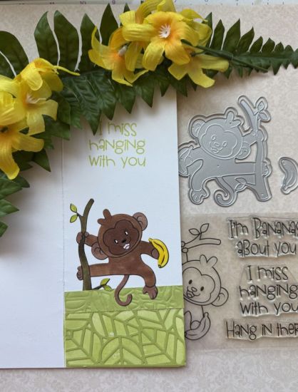 Hang in there Monkey dies (set of 4)
