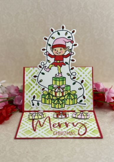 Elf with Lights (HSN)
