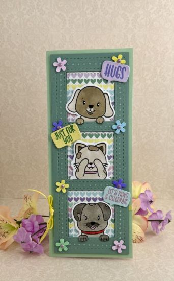 Peeking Critters & More 
