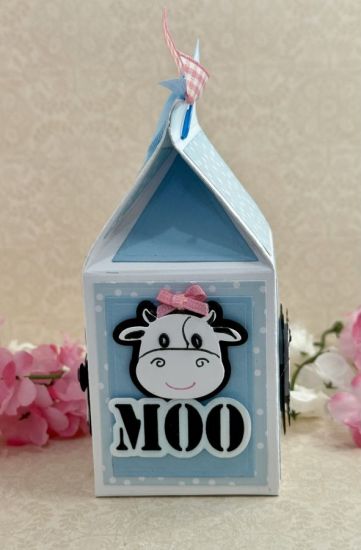 Tall Milk Carton Box
