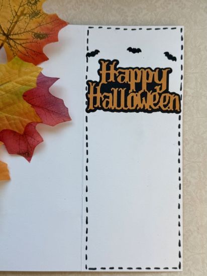 Skeleton Slimline Fold-it
