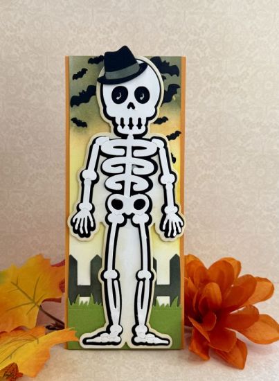 Skeleton Slimline Fold-it
