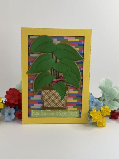 Plant Fold-it
