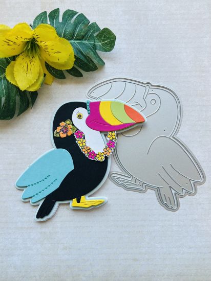 Toucan Fold-it
