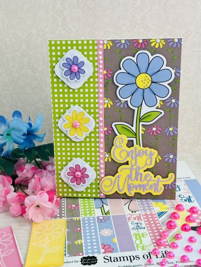 June 2024 Card Kit (Enjoy the Moment)
