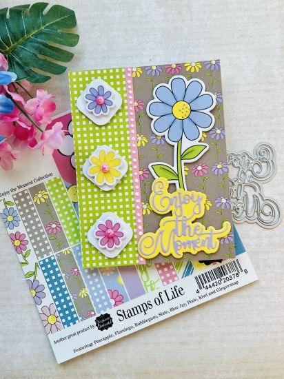 Enjoy the Moment June 2024 Card Kit
