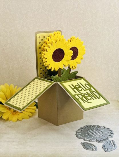  5x7 Box card HSN
